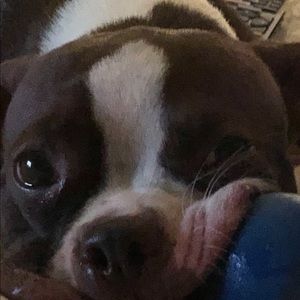 Meet your Posher, Howard